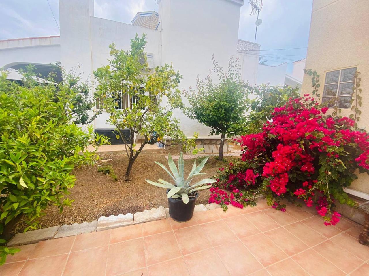 Villa Sunset Orihuela Costa Eksteriør billede